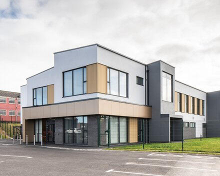 Irish stick fighting poster